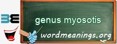 WordMeaning blackboard for genus myosotis